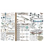 Prima Marketing Re-Design Decor Transfers 6"X12" 3/Sheets-Spring Dragonfly - $13.13