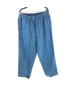 Woman Within Jeans Elastic Waist Pull On Classic Fit 100% Cotton Blue 22W - $14.49