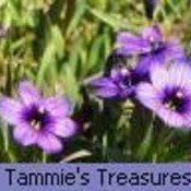 Tammies_Treasures's profile picture