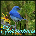 Felicitations's profile picture