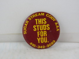 Vintage Horse Pin - Sugar Stream Cody This Studs For You - Celluloid Pin  - $15.00