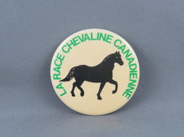 Vintage Animal Pin - The Canadian Horse Breed - Celluloid Pin  - $15.00