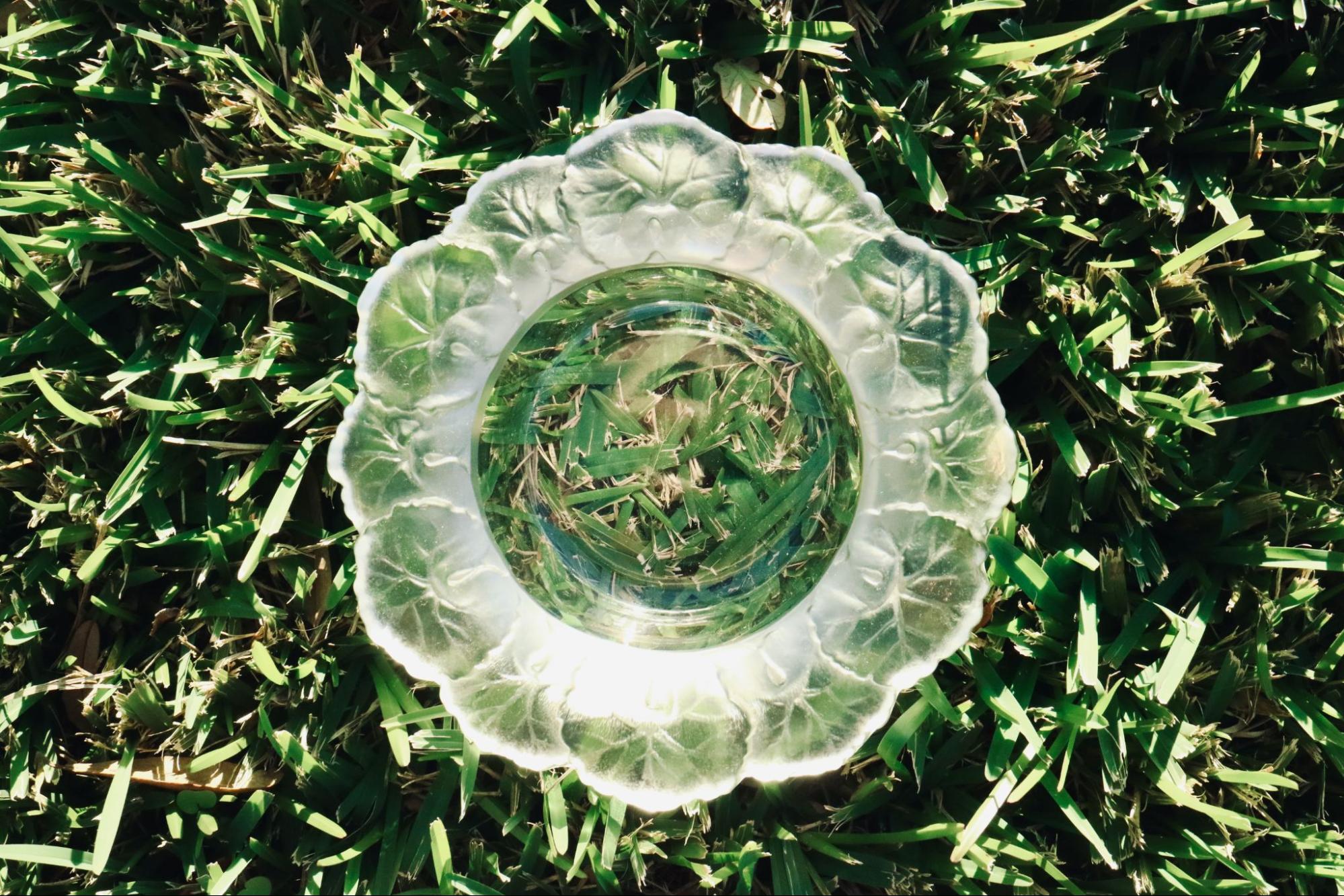 Passion for Glassware? Find it on Bonanza 