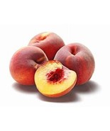 1 &quot;Redskin&quot; Peach Tree, 18+inch, Fast Growing Fruit for Garden Landscaping - $18.95